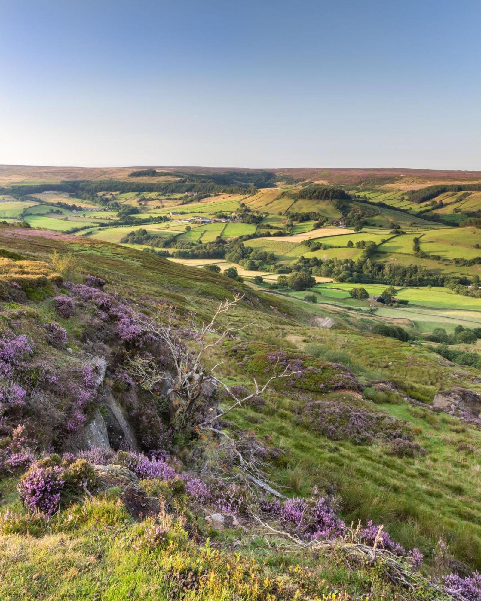 Picturesque Stone Cottage In The Heart Of North Yorkshire Village - Hideaway Cottage Luaran gambar