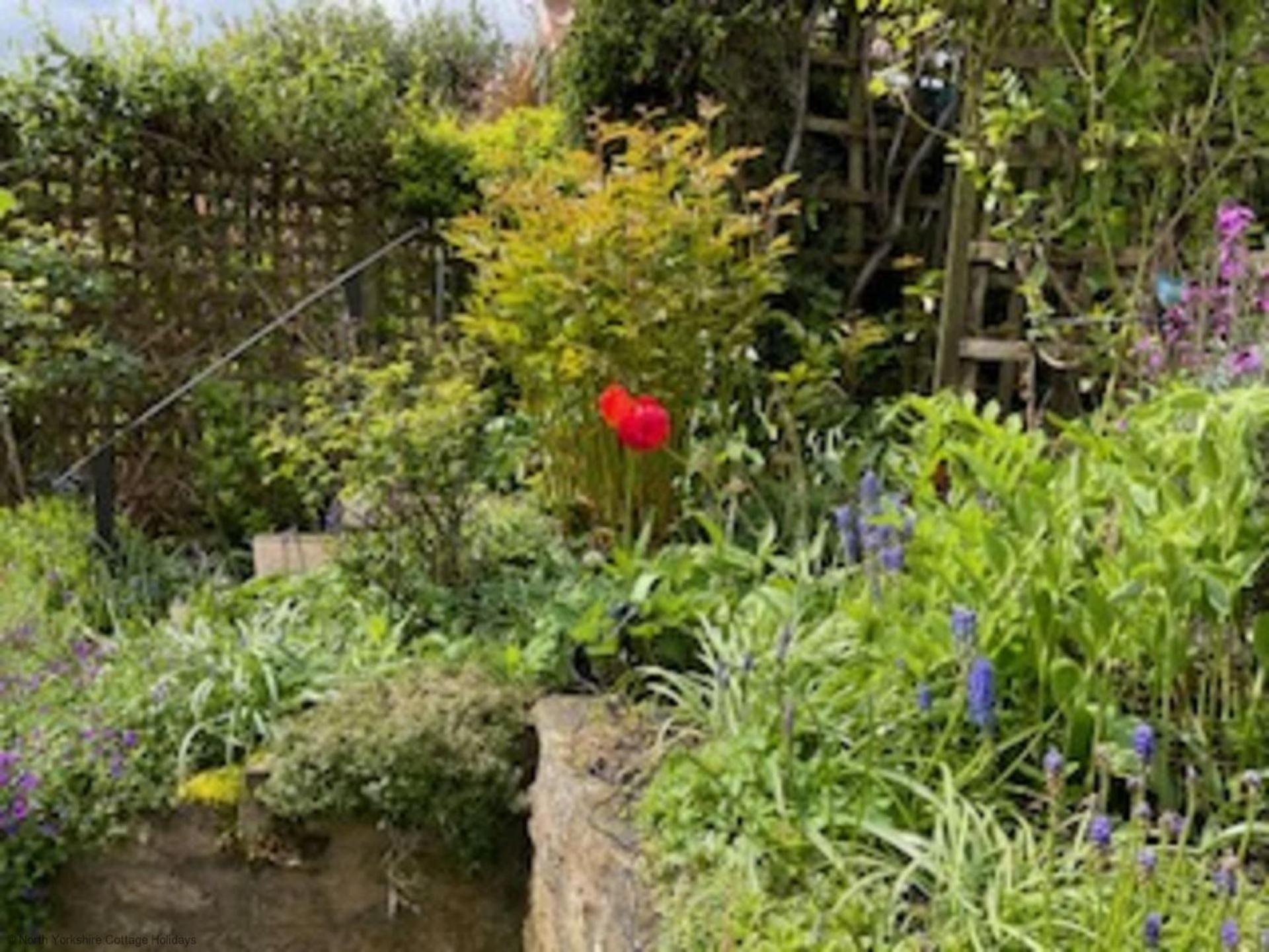 Picturesque Stone Cottage In The Heart Of North Yorkshire Village - Hideaway Cottage Luaran gambar